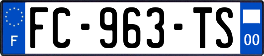FC-963-TS