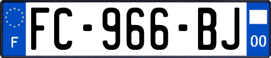 FC-966-BJ