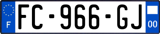 FC-966-GJ