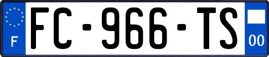 FC-966-TS