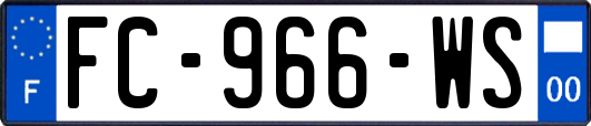 FC-966-WS