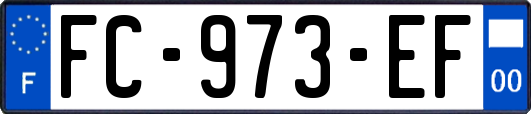 FC-973-EF