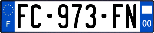 FC-973-FN