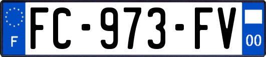 FC-973-FV