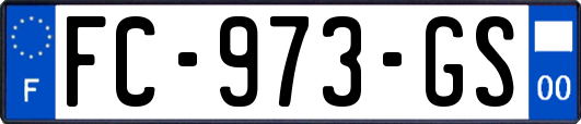 FC-973-GS