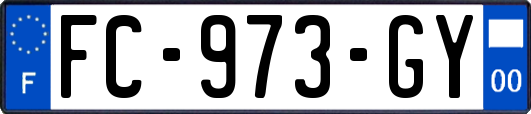 FC-973-GY