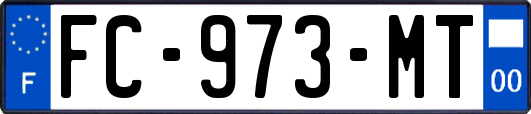 FC-973-MT