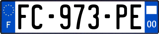 FC-973-PE