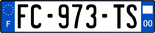 FC-973-TS