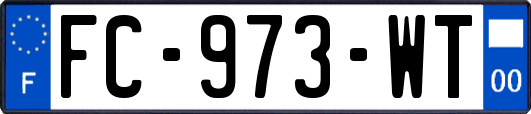 FC-973-WT
