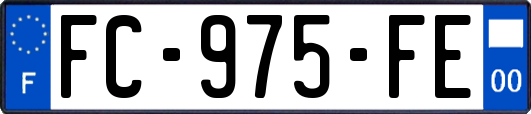 FC-975-FE