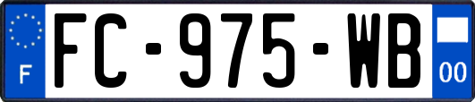 FC-975-WB