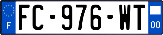 FC-976-WT