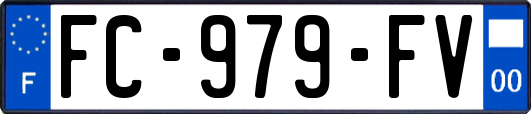 FC-979-FV