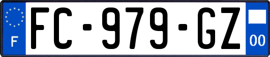 FC-979-GZ