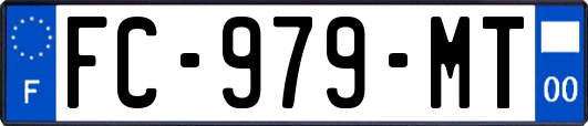 FC-979-MT