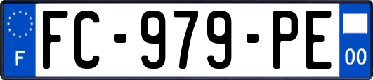 FC-979-PE