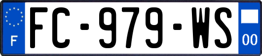 FC-979-WS