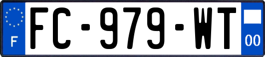 FC-979-WT