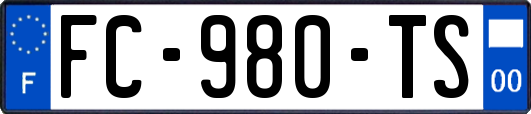 FC-980-TS