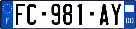 FC-981-AY