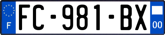 FC-981-BX