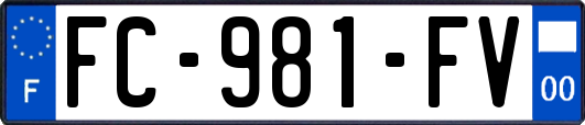 FC-981-FV