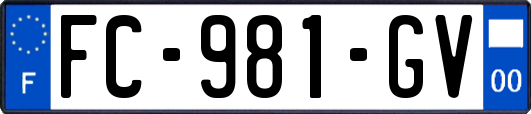 FC-981-GV