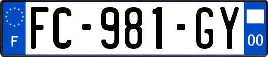 FC-981-GY