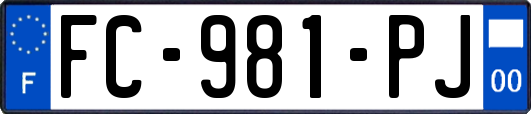 FC-981-PJ