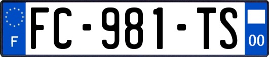 FC-981-TS