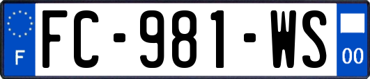 FC-981-WS