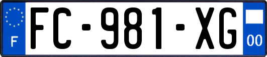 FC-981-XG