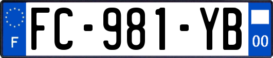 FC-981-YB