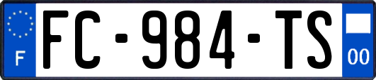 FC-984-TS