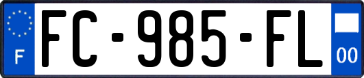 FC-985-FL