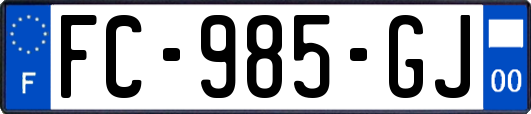 FC-985-GJ
