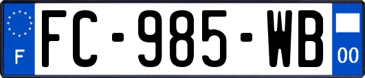 FC-985-WB