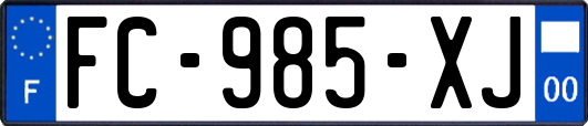 FC-985-XJ