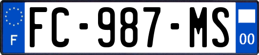 FC-987-MS