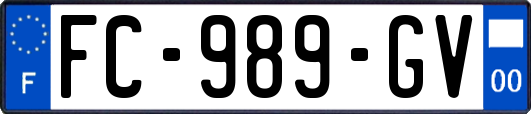 FC-989-GV