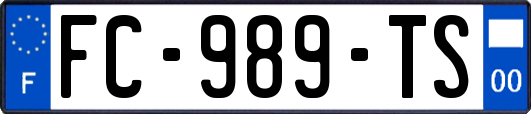 FC-989-TS