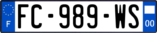 FC-989-WS