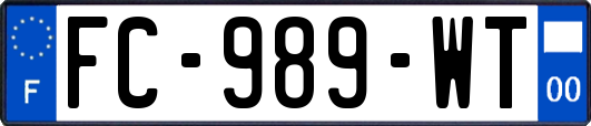 FC-989-WT