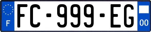 FC-999-EG