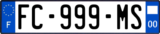 FC-999-MS