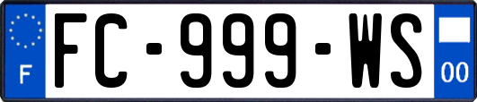 FC-999-WS