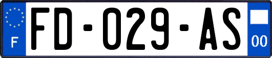 FD-029-AS