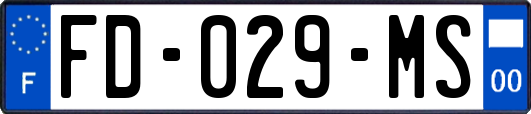 FD-029-MS