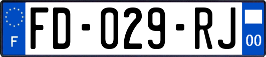 FD-029-RJ